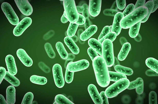 How To Treat Waste without Chemicals