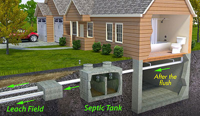 Why do Queenslanders experience more problems with their Septic Tanks