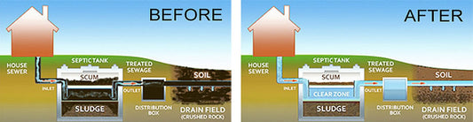 How does bacteria in a septic tank work?