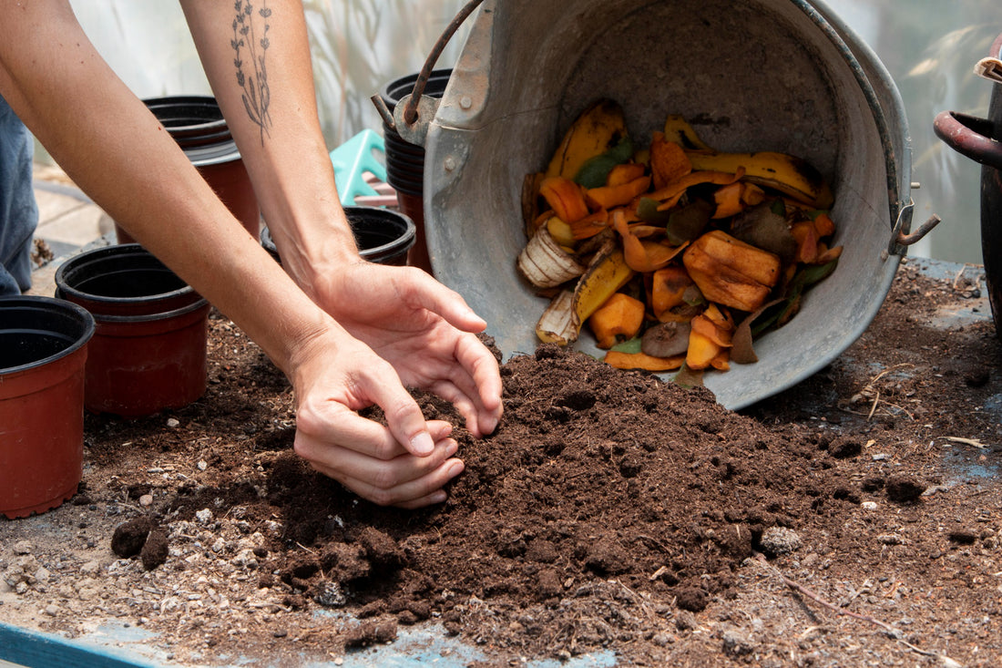 Compost Made Easy